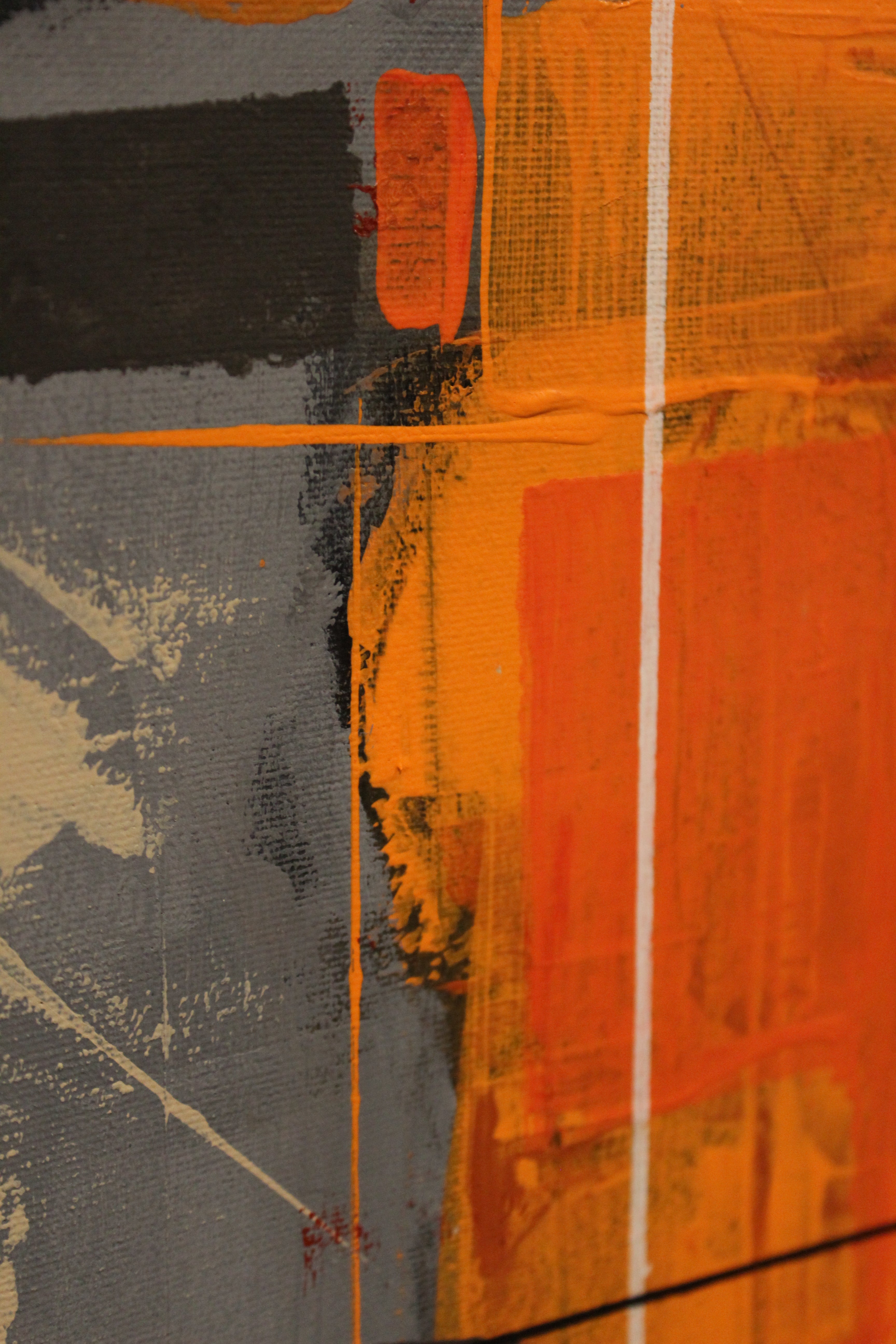 Numerous Shades Of My Passion 1